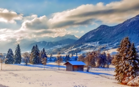 Winter - snowflakes, splendor, snow, photo, sky, sun, trees, winter, beautiful, photography, lovely, tree, wonderful, ice, nature, snowflake, cold