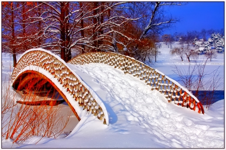 Winter bridge - sky, trees, photography, sun, wonderful, cold, tree, ice, snowflake, winter, snowflakes, lovely, nature, snow, beautiful, splendor, photo