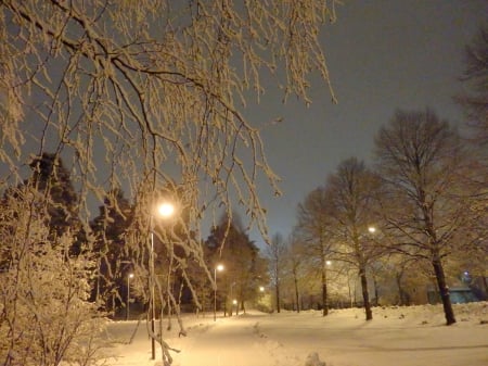 Winter - winter, nature, evening, snow