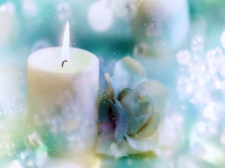 Powder blue - candle, rose, blue, softness