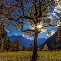 gorgeous valley under karwendel mountains in austria hdr