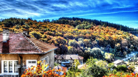 autumn day on a hill town hdr - forest, flowers, village, hills, hdr, autumn