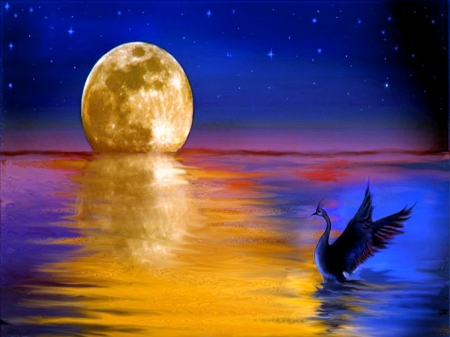 Moon landing - bird, water, moonshine, night, reflection