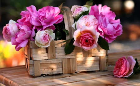 Beautiful Flowers for Dear Friend Kaitlyn (ShadowsFlight) - Flowers, Beautiful, Pink Flowers, Basket, Rose, Pink Flower, Baskets, Garden, Pink Roses, Pink, Flower, Pink Rose, Roses