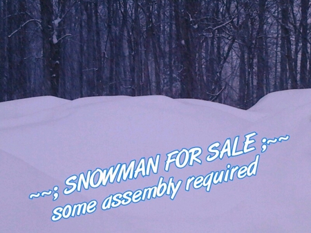 ~~; SNOWMAN FOR SALE ;~~ - snow, trees, winter, nature