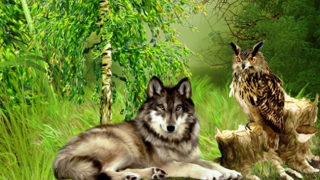 Animals of Prey - trees, summer, spring, wolf, forest, dog, wild, green, owl