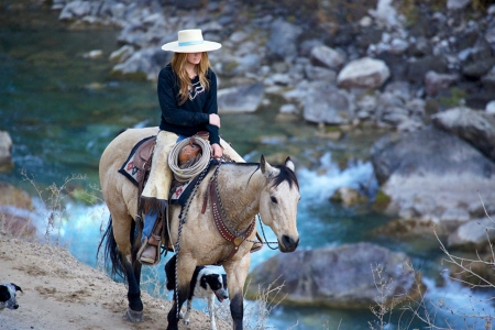 Lonely rider - woman, horse, rider, dog