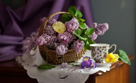 Still Life -Purple- - flowers, purple, cup, amazing