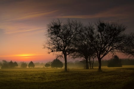 Sunset - beautiful, land, trees, sunset