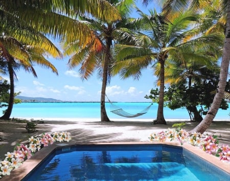 Dream beach - palms, beach, ocean, plumeria