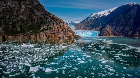 glacier bay national park in alaska - glacier, ice, mountains, bay