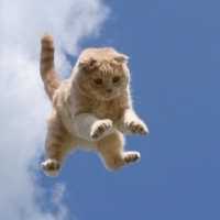 â™¥ jump to my friend carmen (bonilla) â™¥