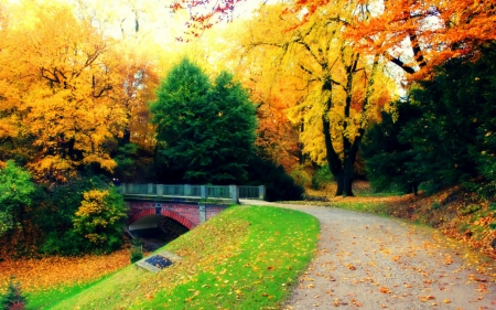 The beauty of autumn - path, trees, nature, autumn