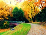 The beauty of autumn