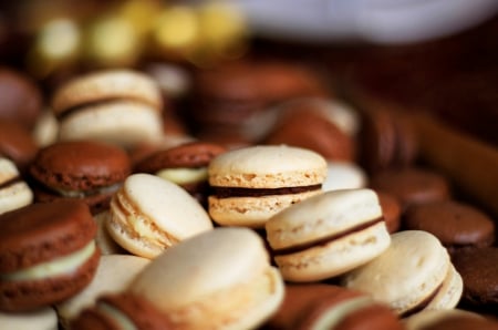 Macaron - Macaron, Macarons, dessert, sweet