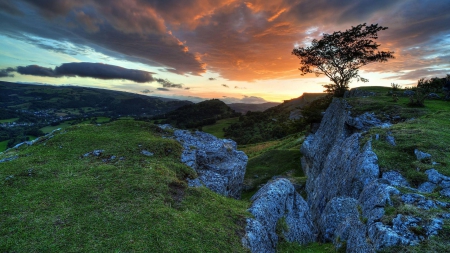 beautiful hills in snowdonia park wales at sunrise - hills, sunrise, grass, tree, rocks