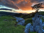 beautiful hills in snowdonia park wales at sunrise