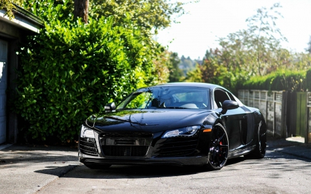 Audi R8 - fun, car, cool, audi r8