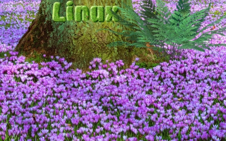 Linux-Springtime - y, v, x, c