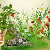 Bunny in the Berries
