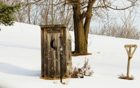 When Nature Calls....Even in Winter - privy, winter, toilet, nostalgic, outhouse, nature, country