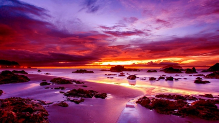 sunset on the horizon hdr - horizon, beach, purple, hdr, sunset, sea, rocks