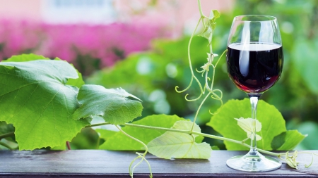 Red Wine - drink, leaves, green, food, wine, drinks, red wine