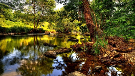 bridge over stream in exmoor park england - bridge, trees, rocks, river