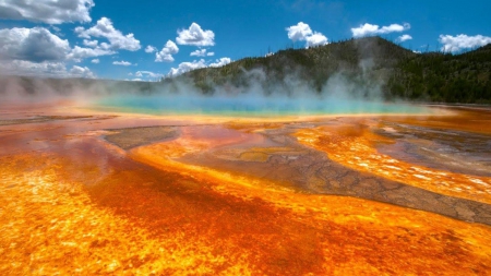 colorful geyser in yellowstone park - steam, minerals, hot springs, colors, geyser