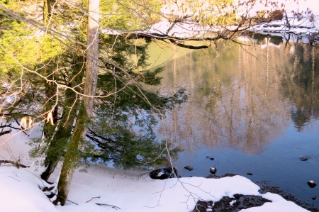 Reflections of Winter - reflections, snow, pine, water, tree, limbs, spring, creek