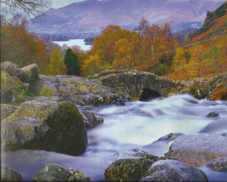 Landscrape - water, tree, mountian, rocks