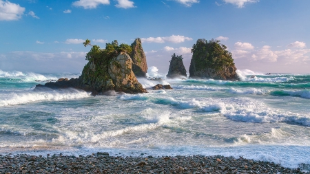 beautiful plant covered rocks on a rough seashore - surf, vegetation, stones, sea, waves, rocks