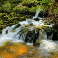 Waldquelle Austria Waterfall