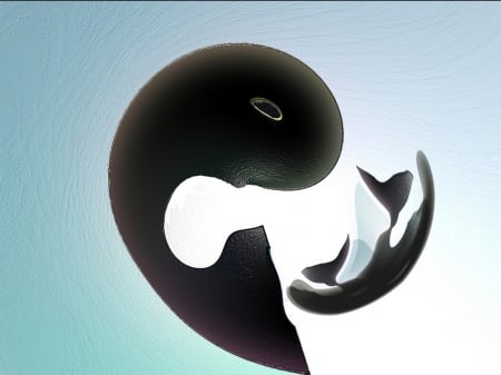 yin yang - yin yang, art, ocean, whale, orca, wallpaper