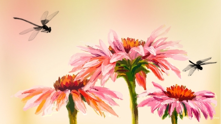 Echinacea and Dragonflies - flowers, watercolor, dragonflies, summer, health, spring, herb, pink