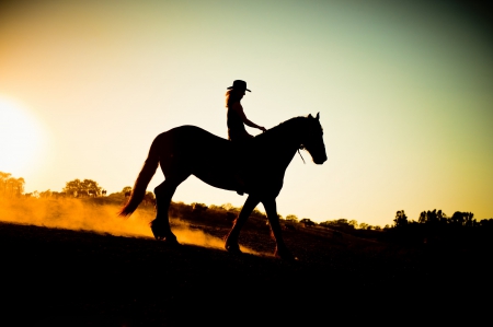 Sunset On The Open Range - cowgirl, trees, range, sunset, horses, silhouette, horse