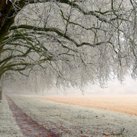 Tunnel Winter