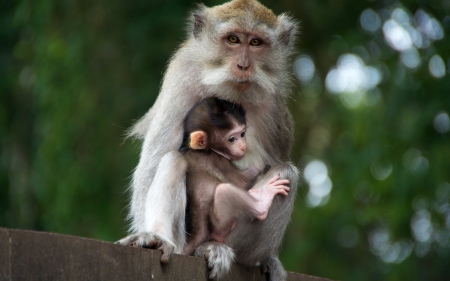 mother and child