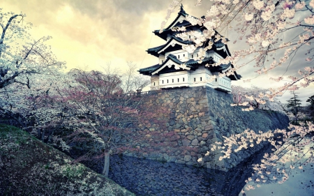 Nagoya Castle - nature, japan, sakura, castle, scenery, nagoya, japanese