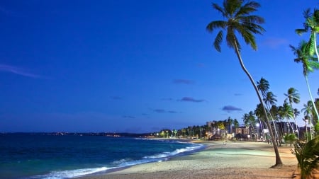 gorgeous city beach in evening - wallpaper, evening, beach, brazil, beaches, city, new, trees, sea, nature, waves