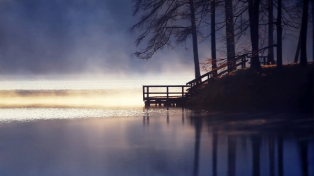 stairs to a ramp on a lake shore in morning fog - trees, stairs, shore, fog, ramp, lake, morning