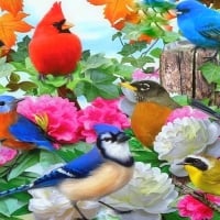 à²ŒGardening of Birdsà²Œ