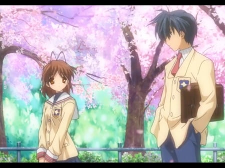 Blooming - flower, anime girl, girl, cherry blossom, nagisa, uniform, floral, couple, pretty, kawaii, short hair, sweet, sakura, brown hair, anime, romance, sakura blossom, school uniform, clannad, nice, lovely, female, romantic