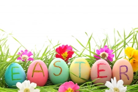 Easter - eggs, daisy, spring, spring time, easter, flowers, daisies, happy easter, nature, easter eggs