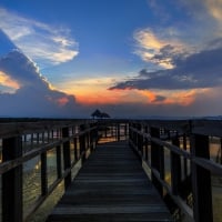 sunbeams over long boardwalk over swampland