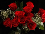 * Red roses *