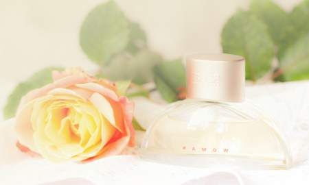 * Rose fragrance * - fragrance, soft, aromatic, rose, flower