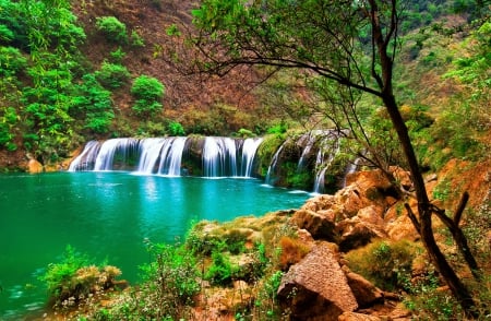 Forest fall - trees, stream, shore, waterfall, creek, serenity, calm, nature, fall, forest, emerald, river, beautiful, green, stones