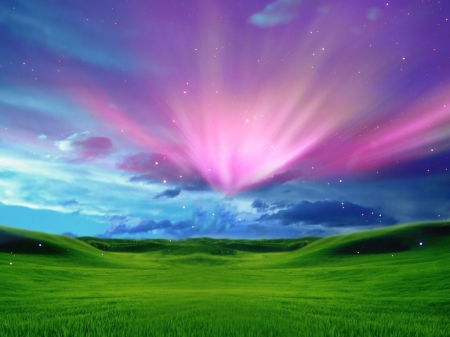 pink shine - field, clear, green, grass