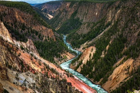 Yellowstone River - forest, canyon, national park, water, cliffs